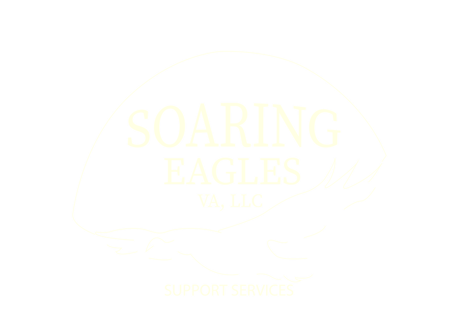 Soaring Eagles Logo